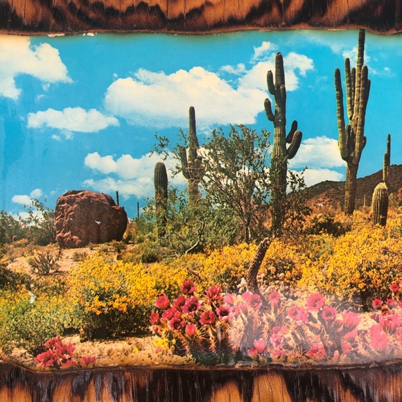 Meet your Posher, Rachel - Picture 11 of 11